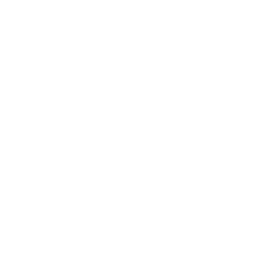 speakers-shape